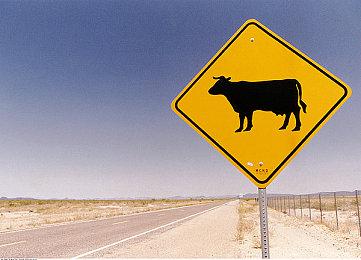 版权到期全平台下架？ 《疾速追杀Hex》宣布全平台停售